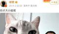 胡歌回应热评:你才大小姐呢