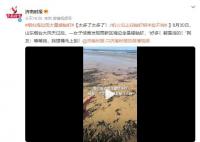 烟台海边现大量蝼蛄虾 网友：太多了太多了