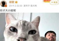 胡歌回应热评:你才大小姐呢