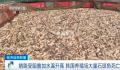 韩国石斑鱼大量死亡 相当于这里总饲养量的两成多