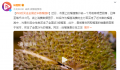 90后买走全国近半数榴莲 网友：说榴莲是女性之友没一点毛病