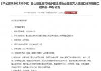 五问715万元“丑”雕塑 700多万花在哪