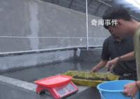 新疆“海鲜”大丰收了 网友：新疆产的海鲜是不是应该叫新鲜