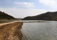 干部遗体在水库被发现 官方回应