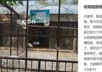 辽宁一动物园将断粮?官方:属实
