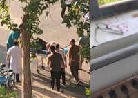 洛阳理工发生命案?校保卫处回应