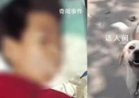 7岁娃被邻居家狗抓伤后离世 未能及时接种狂犬疫苗