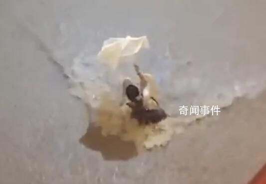 现场:广东洪水瞬间冲倒四五米高墙