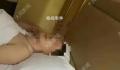 女子举报已婚副县长欺骗感情 县纪委：市纪委已受理