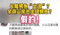 广州长隆鳄鱼出逃?官方辟谣