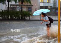 香港暴雨猪场上百头猪被冲走 全港多个地区发生水浸
