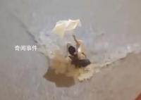 港交所全日暂停交易 极端情况至少维持至下午6时
