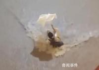 香港发黑色暴雨信号 有市民遇险