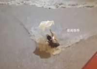 香港遭百年一遇暴雨 女子被狂流冲倒