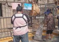 辽宁一动物园断粮市民自发投喂 园内存粮不多希望得到帮助
