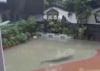 多条广东暴雨相关传言被辟谣 注意甄别