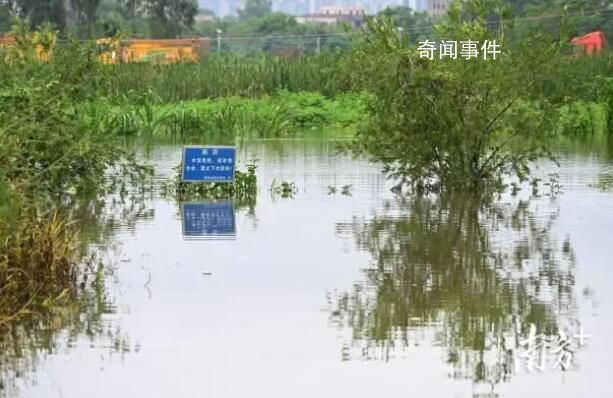 养殖场疑多条鳄鱼出逃 民兵称将击毙