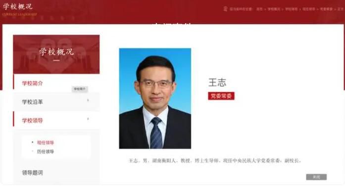原央视主持人王志履新 王志个人资料简介