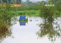 养殖场疑多条鳄鱼出逃 民兵称将击毙