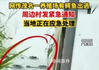镇政府回应暴雨致养殖场鳄鱼出逃 确有此事正在抓捕