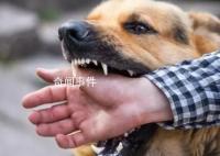 狂犬病潜伏期十几年?专家辟谣