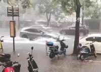 暴雨突袭上海:乌云压顶大雨瓢泼