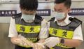 女子胸前腰部绑藏15条活体蛇入境 引起不少人关注