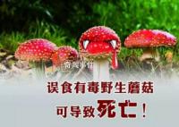 野蘑菇中毒多久有反应 具体发作时间与蘑菇毒性程度有关