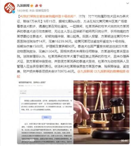 2狗打架主人被狗绳绊致十级伤残 法院：对方赔偿7万余元
