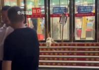 官方通报男子剐蹭老人跳河自杀 已对小伙家属进行赔偿