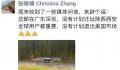 大疆将退出美国市场系谣言 没有计划退出美国市场