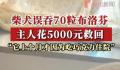 柴犬误食70粒布洛芬主人花5千救回 好在之前催吐及时