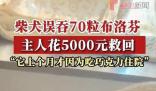 柴犬误食70粒布洛芬主人花5千救回 好在之前催吐及时