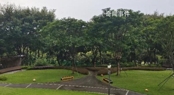 曝深圳一绿道网红景点建完封闭三年 至今未再面向市民开放
