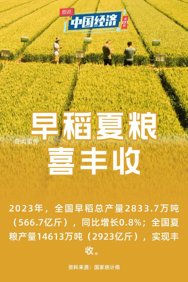 保障粮食安全 端牢中国饭碗