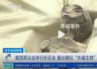 外星人?墨西哥国会揭晓非人类化石