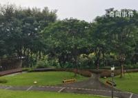 曝深圳一绿道网红景点建完封闭三年 至今未再面向市民开放