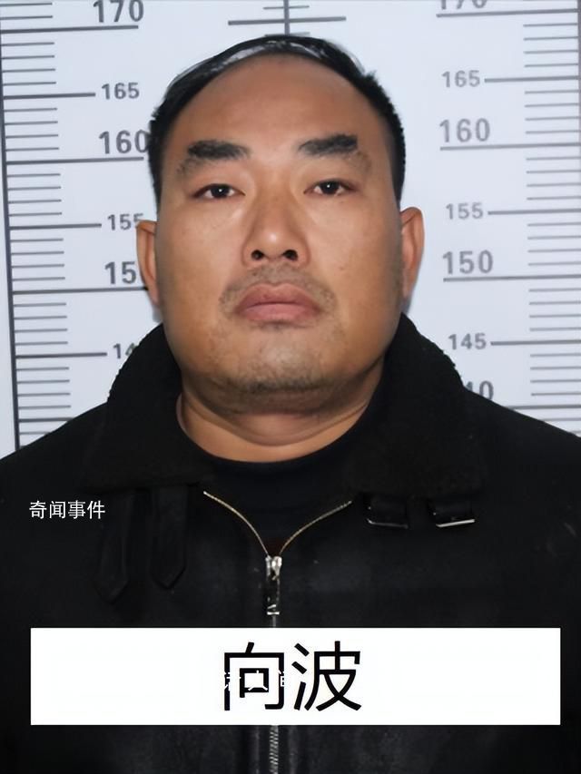 “黑老大”曾是校长 公安出手端了 向波个人资料介绍
