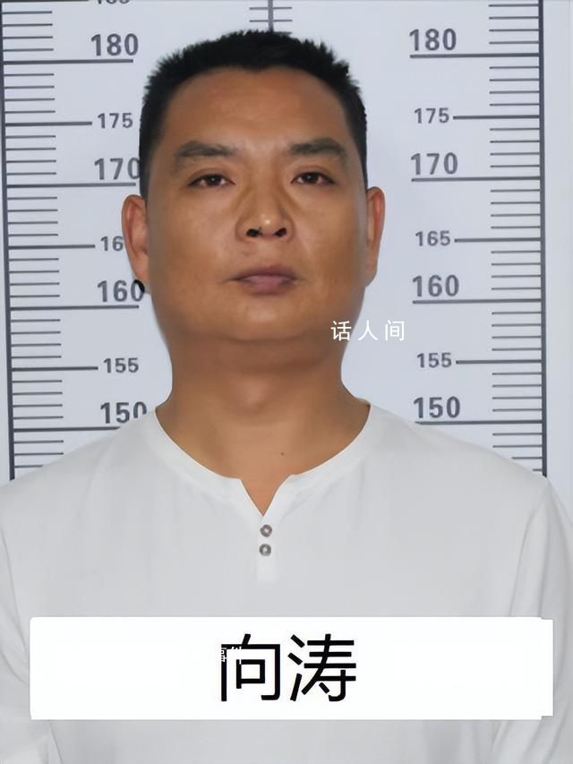 “黑老大”曾是校长 公安出手端了 向波个人资料介绍