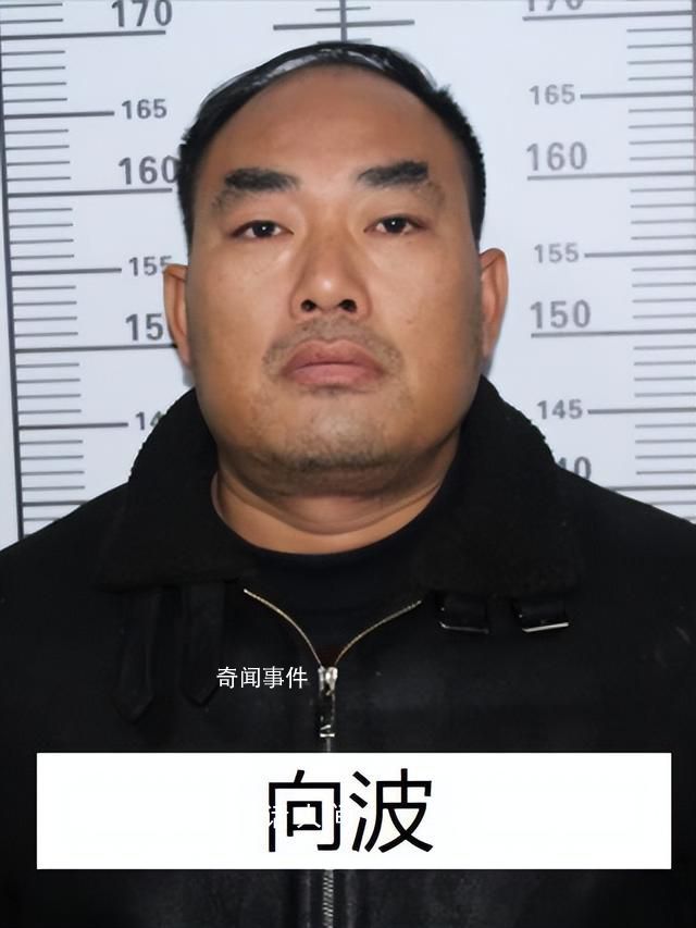 “黑老大”曾是校长 公安出手端了 李雪阳个人资料介绍