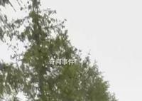卡德罗夫健康状况恶化?克宫回应
