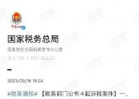央媒评袁冰妍偷逃税:洗白是无效的