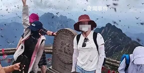 黄山景区回应“飞虫冲脸” 多到眼睛都睁不开