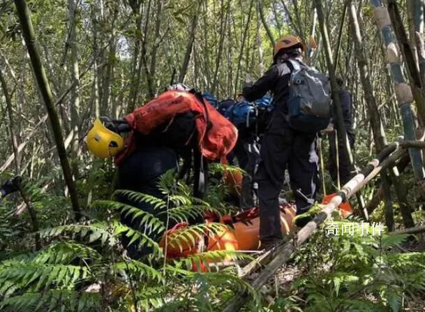 台湾一登山团遭蜂群攻击2死9伤 实在是太可怕了