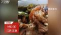 医院回应食堂菜品疑使用淋巴肉 淋巴肉吃了有什么危害