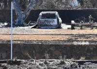 毛伊岛大火死亡人数降至97人 确认失踪人数目前为31人