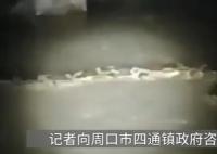 官方辟谣“河中发现巨型长虫” 引起了很多人的关注