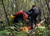 台湾一登山团遭蜂群攻击2死9伤 实在是太可怕了