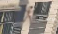 官方回应“男子赤身裸体趴在6楼外” 情绪不佳欲轻生