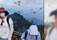 黄山飞虫成灾直扑人脸 已跟园林部门沟通将进行处理